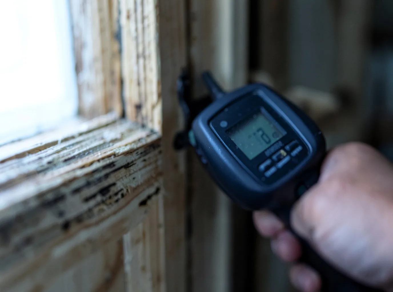 Moisture Inspection And Documentation in Dunkirk, MD